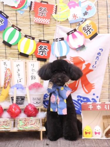 20240725コアくん